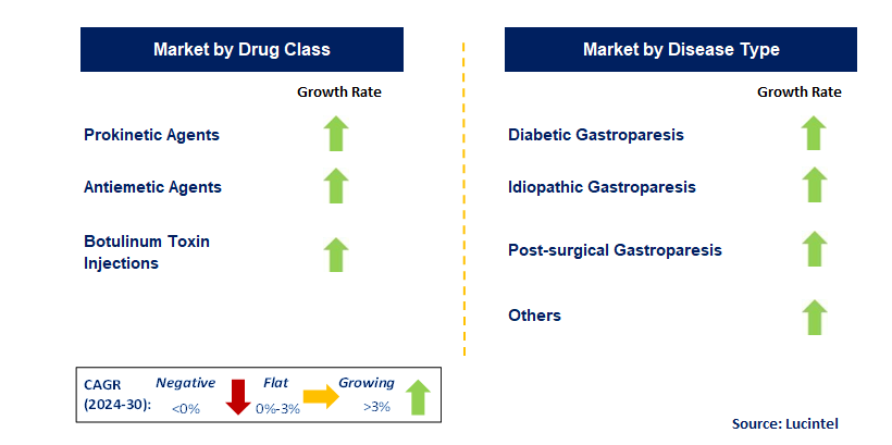 Gastroparesis Drug by Segment